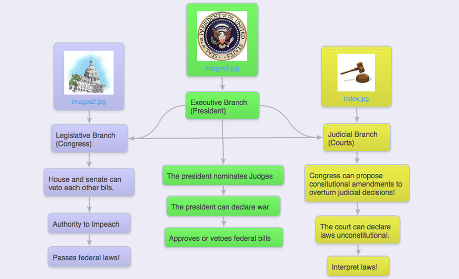Checks and Balances - American Government: Constitution